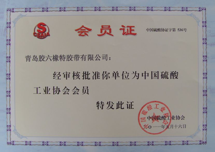 China Sulfuric Acid Industry Association